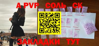СК Новодвинск