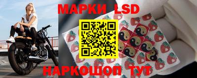 тгк Новокубанск