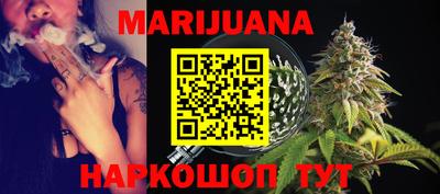 сатива Новозыбков