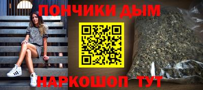 сатива Новозыбков