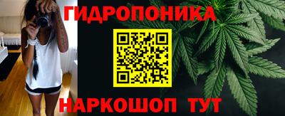 СК Новодвинск