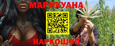 сатива Новозыбков
