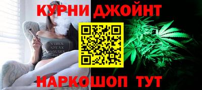СК Новодвинск