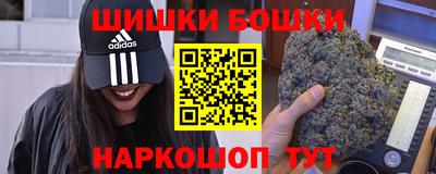 сатива Новозыбков