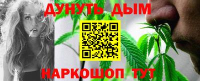 сатива Новозыбков