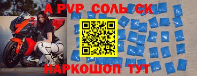 СК Новодвинск