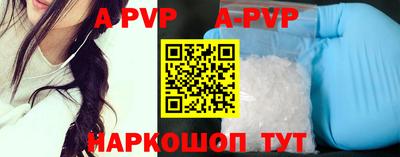 СК Новодвинск